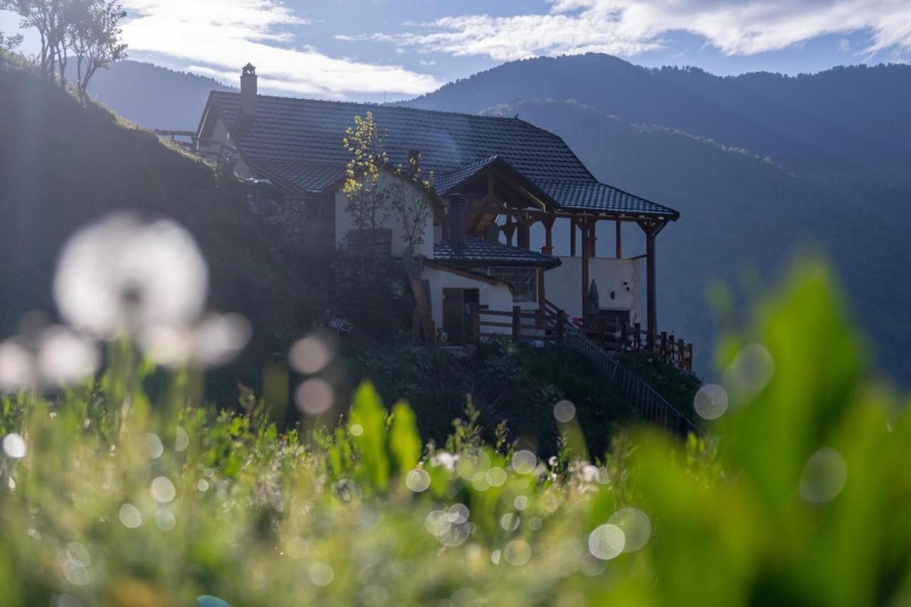 Zeneli Alpin Chalet Cerem Exterior foto